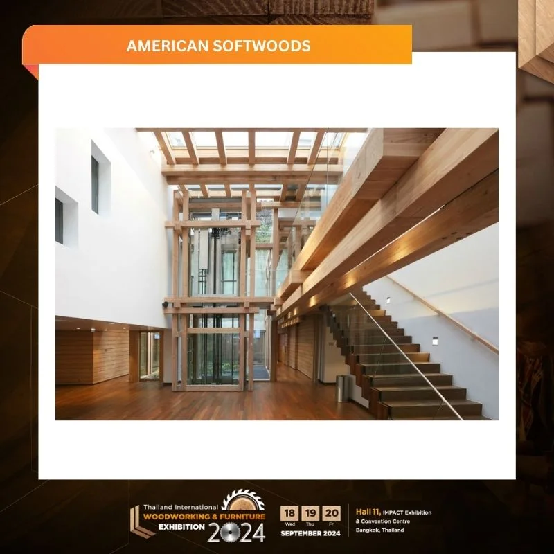 American Softwoods - Image 5