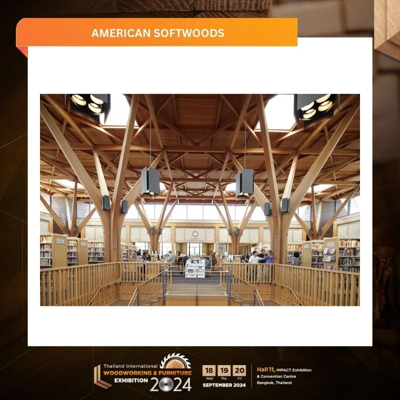 American Softwoods - Image 4