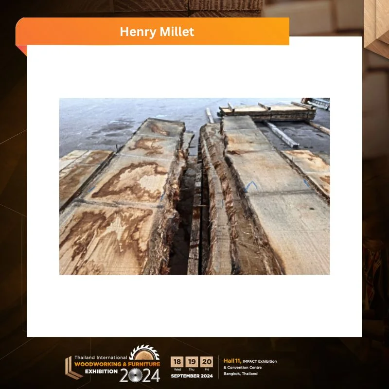 Henry Millet - Image 4