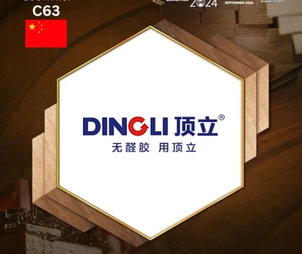 DingLi New Material Technology Co., Ltd.