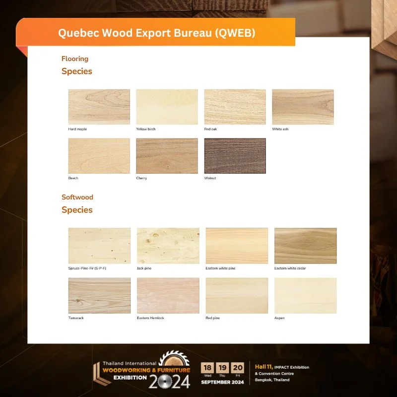Quebec Wood Export Bureau - Image 3