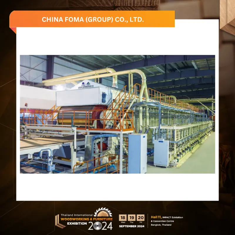 CHINA FOMA (GROUP) CO., LTD. - Image 2