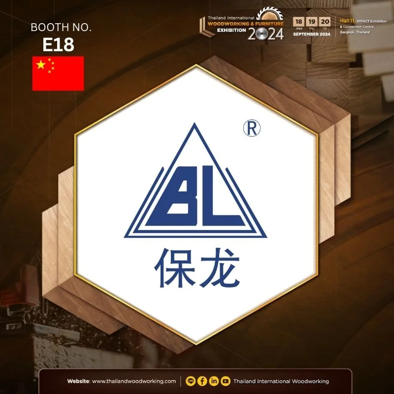 Jiangsu Baolong Electromechanical Manufacturing Co., Ltd