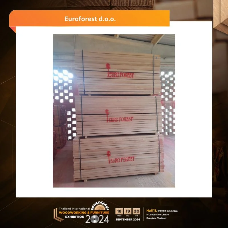 Euroforest LLC APP Timber - Image 3