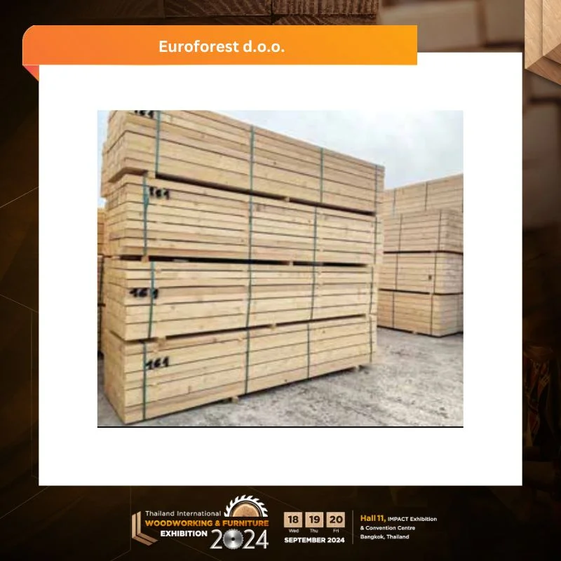 Euroforest LLC APP Timber - Image 2