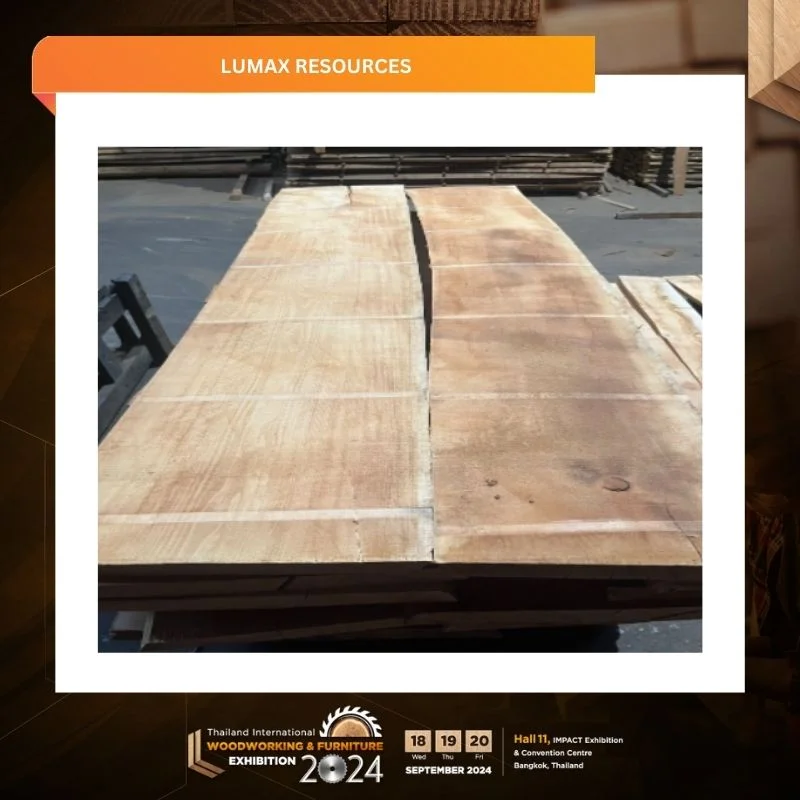 Lumax Resources - Image 2