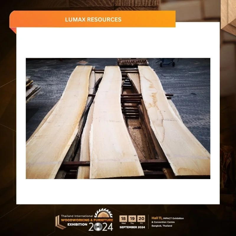 Lumax Resources - Image 3