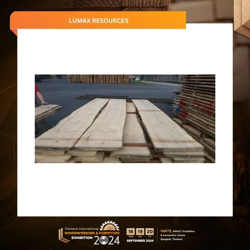 Lumax Resources - Image 4