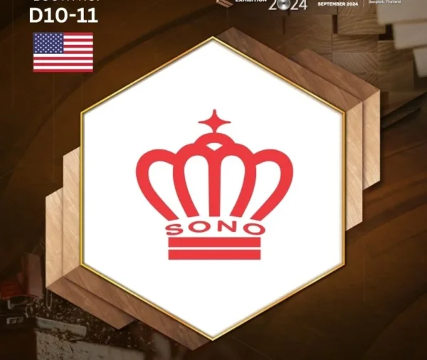 SONOKING CORPORATION