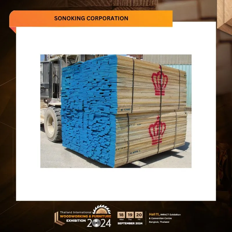 SONOKING CORPORATION - Image 3