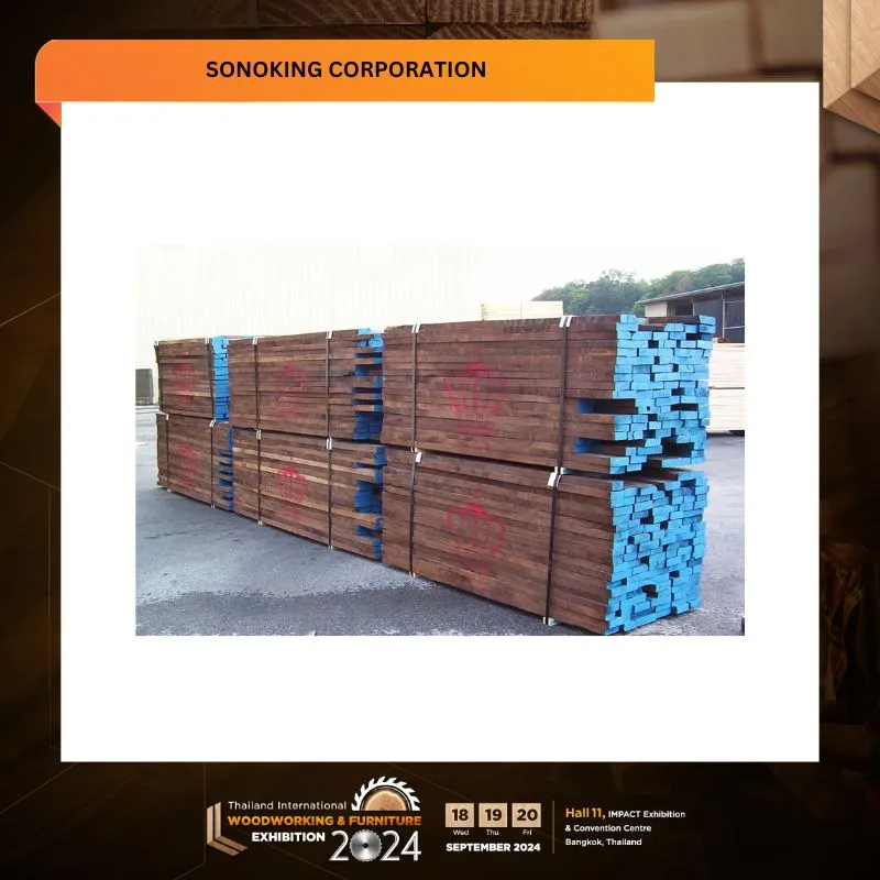 SONOKING CORPORATION - Image 4