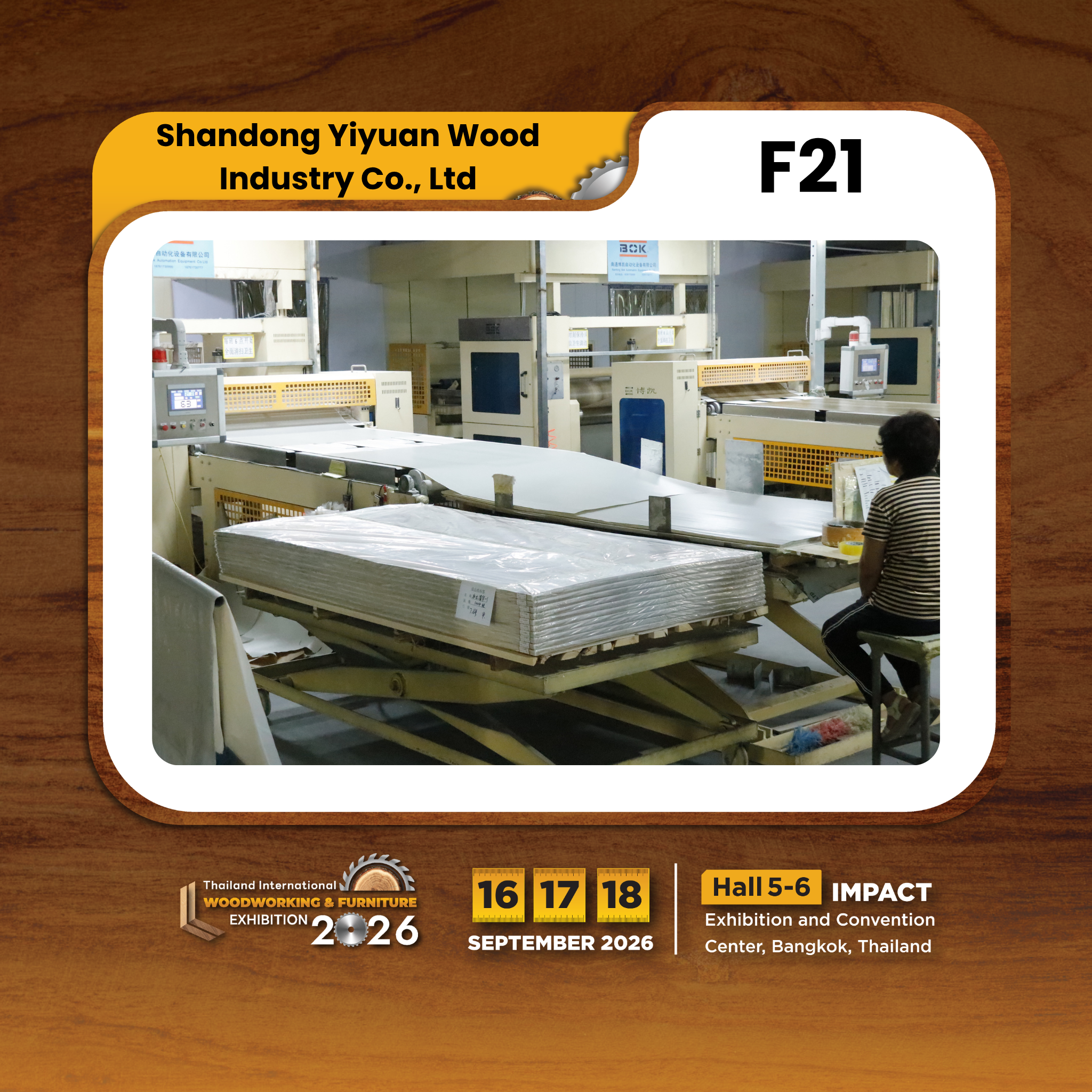 Shandong Yiyuan Wood Industry Co., Ltd - Image 3