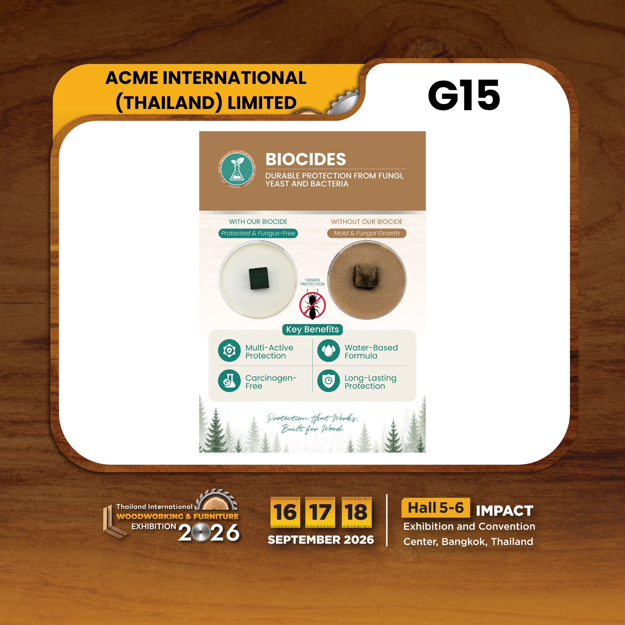 ACME INTERNATIONAL (THAILAND) LIMITED - Image 3